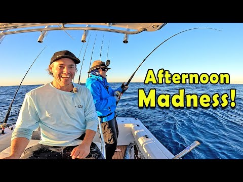 Mackerel Mayhem! BIG baits = BIG bites! (catch & Clean)