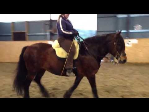 De gale har det godt på Akademiske Gunnerud 13 mai 2013