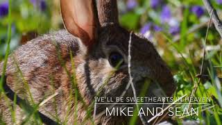 We’ll Be Sweethearts in Heaven