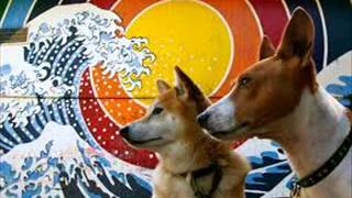 UFO or Die- Dog Wave (03)