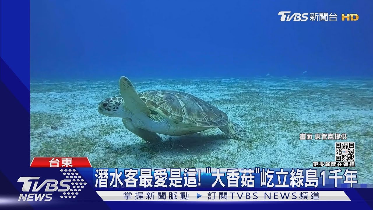 探索水世界! 綠島「11大最美潛點」曝光