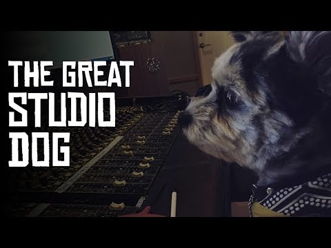 Studio Dogs & Importance of Breaks (HoboRec Bull Sessions #37)