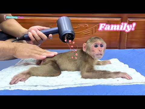 So cute! Baby Monkey Kyo gets Dad’s sweetest & super special care!💕