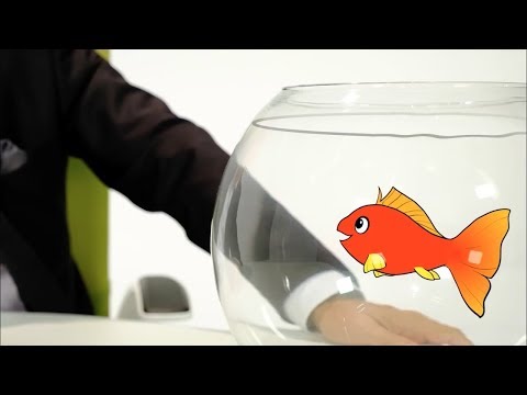 Leanders lebhaftes Lean Lexikon: Transparenz und Fluss durch Bodenmarkierungen