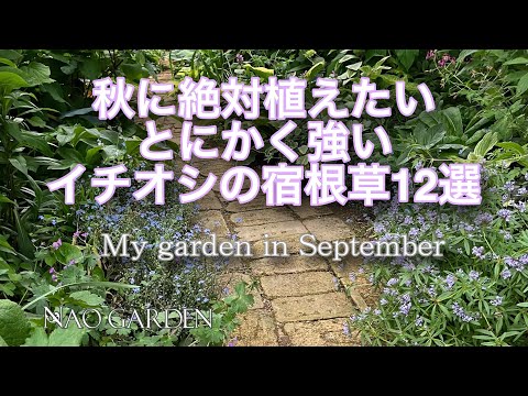 正面から見た新鮮な野菜、明るい背景、サラダ、カラー写真、熟した食事