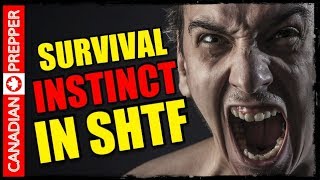 Warning: SHTF Reality Check
