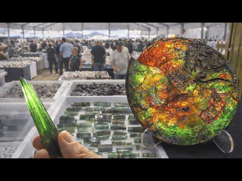 Tucson Gem Show 2026; 22nd St! 22nd St Gem & Mineral Show! 4K