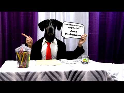 Boda Laura y Dani 25-11-2017