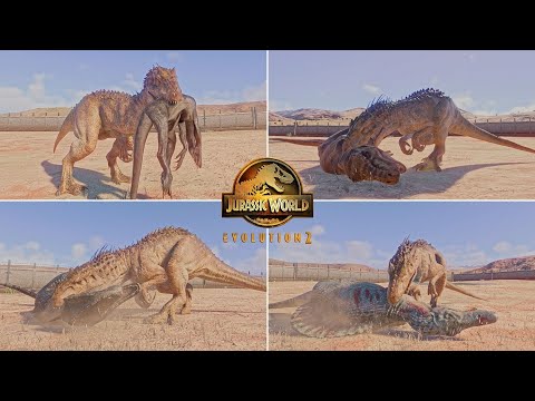 Indominus Rex vs Every Large Carnivore | Ultimate JWE2 Battle