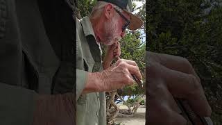 Download lagu 'GET OUTA TOWN' !!! (C MAJOR). mp3 Download lagu 'GET OUTA TOWN' !!! (C MAJOR). mp3