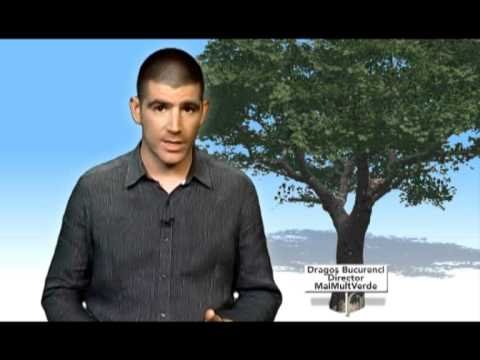 Romania prinde radacini