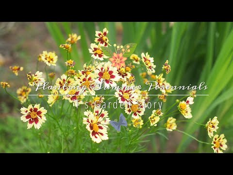 庭のイボタノキの生垣 - 植え付けのヒント、剪定、メンテナンス  庭園