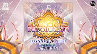 Bizzare Tribe &amp; Spade - Evolutions 2 Revolution (Mystery Sense Remix)