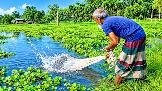 Traditional Original Village Net Fishing Videos 