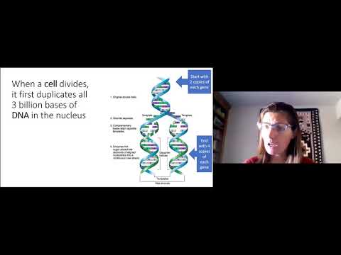 2020 Virtual Summer Conference: La Génétique pour les Débutants by Dr. Christina Laukaitis | French (FR)
