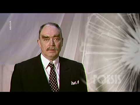 Poesis: Mircea Albulescu – O, rămâi de Mihai Eminescu (Arhiva TVR)