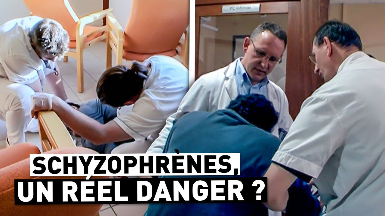 SCHYZOPHRÈNES, UN RÉEL DANGER ?