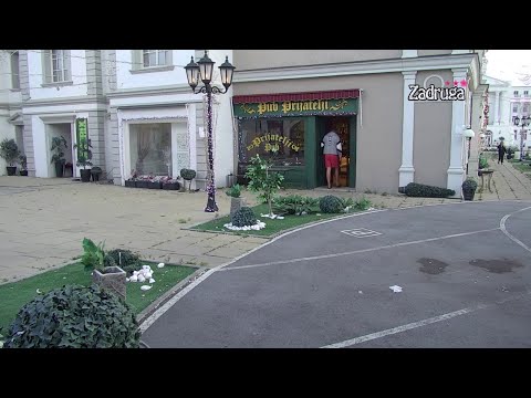 Zadruga 3 - Janjuš se vraća u pab "Prijatelji" da se suoči sa Majom - 24.06.2020.