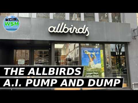 The Allbirds A.I. Pump And Dump
