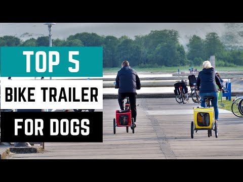 Best Bike Trailer for Dogs in 2024: The Ultimate Guide