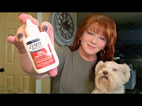 Zymox Otic Plus Enzymatic Ear Solution for Dogs & Cats | 1% Hydrocortisone | Advanced Formula