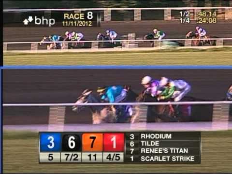 The 7th Running of the Sharp Cat Stakes - $100,000 Guaranteed