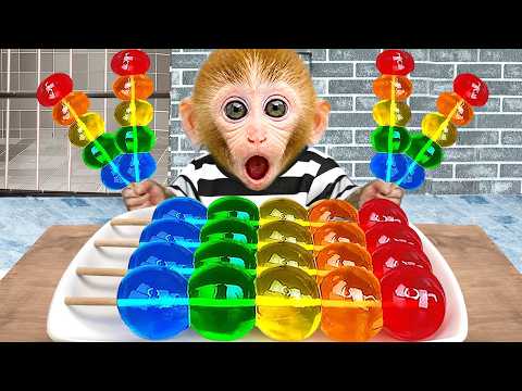 Monyet Bon Bon Lucu menemukan rumah pohon dan melakukan kenakalan-kenakalan | BONBON INDONESIA