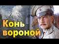 КОНЬ ВОРОНОЙ. Вика Цыганова. Луганск Новороссия Novorossiya, Lugansk ...