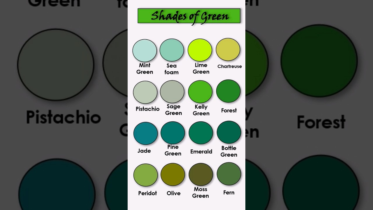 Which shades of 🟢Green🟢 do you like? comment ✍️
