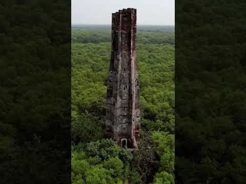 178 year's old abandoned lighthouse in coringa mangrove forest , kakinada .