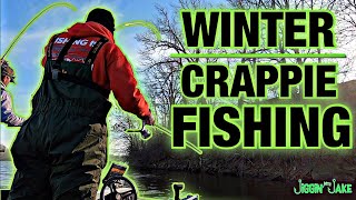 WINTER CRAPPIE FISHING | Vertical Jigging BRUSH PILES using CRAZY Color Combos!