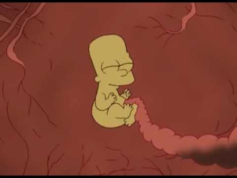 BieeberFever’s Video 7412634205 GXeqPFJhDJ8