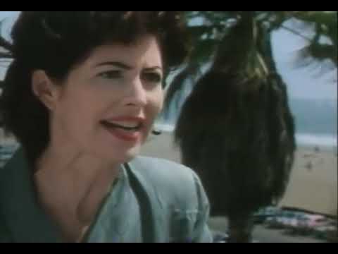 Wild Palms Trailer