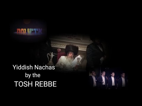Yiddish Nachas performing by the TOSH REBBE