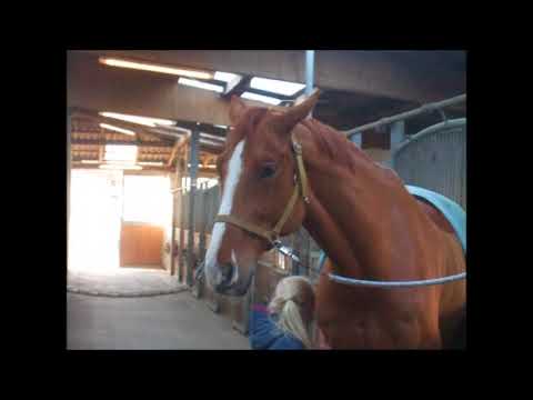 RAVEL 8j. Hann. Wallach v. Rascalino