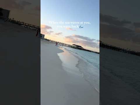 Sunset🌅 + Beach🏖️ = Heaven❤️ #beach #sunset #aesthetics #barefoot #travel #photography