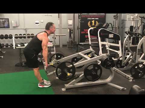 Nautilus Stiff Leg Deadlift Plate Loaded