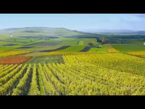 Travel Guide Rhineland, Germany - Romantic Germany: Wonderful Wine