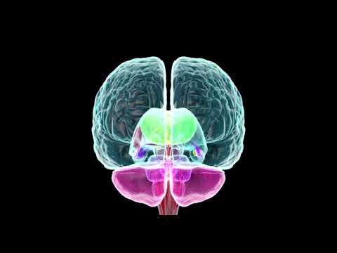 Ewerz - NO LO ESCUCHES