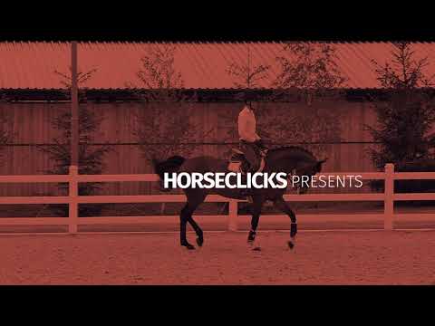 Horseclicks