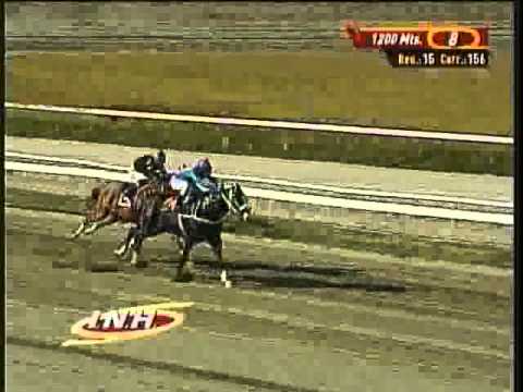 Resumen Sábado, 01 de Marzo de 2014 - La Rinconada