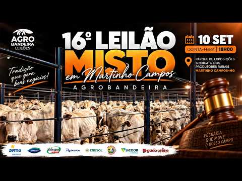 🔴 16º Leilão Misto Agro Bandeira em Martinho Campos/MG