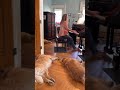 Jesus Loves Me arranged by David Nevue #piano #relaxingpianomusic #pianosolo #