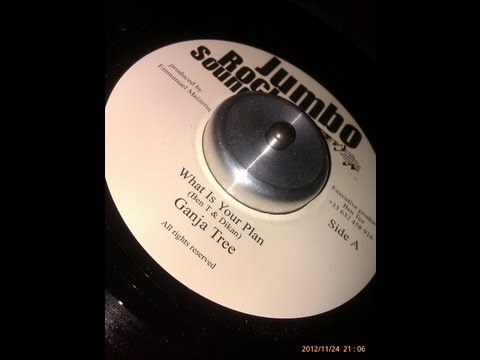 Ganja Tree - What is your plan