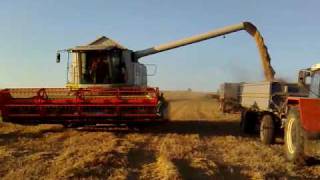 preview picture of video 'Claas Lexion 540C Olaszfalu 20090727-067'