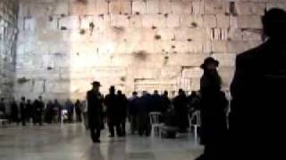 ה-DVD של מצה של אורה: בוני מאת שלומה דסקל