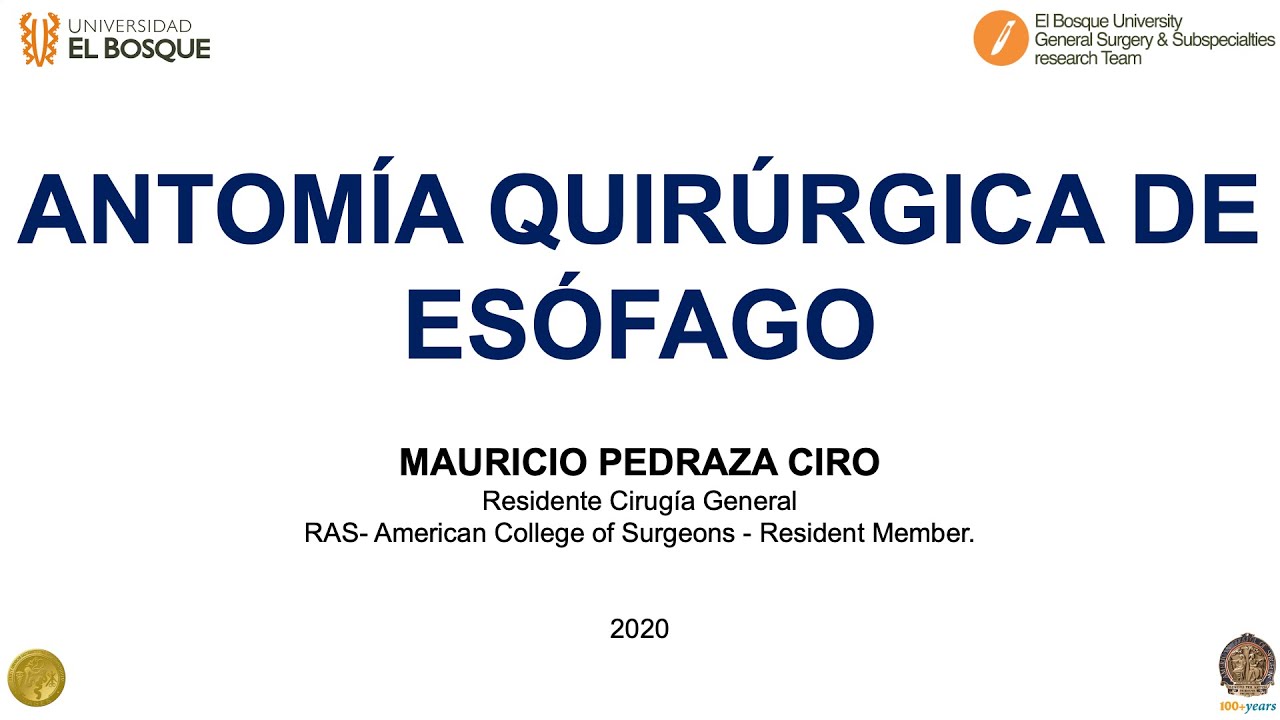 ANATOMÍA QUIRÚRGICA DEL ESÓFAGO