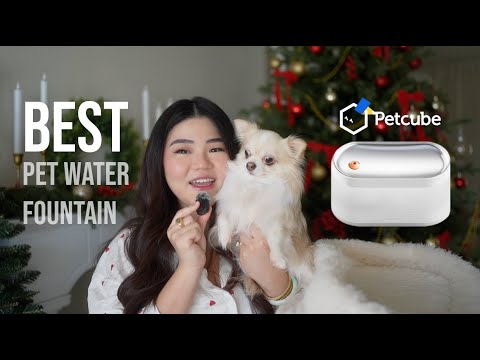 CBD for Cats Video Preview