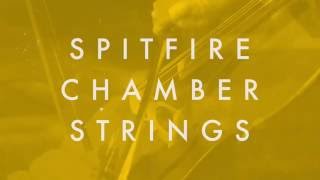 Video thumbnail for Spitfire Presents: Spitfire Chamber Strings by Spitfire Audio