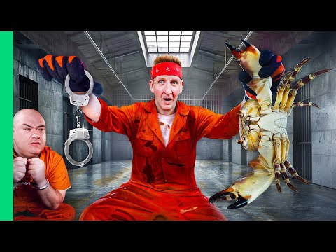 Trapping Florida's Illegal Seafood!! (w/@GugaFoods)